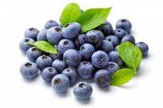 Fruit yoghurt - Blauwe bes